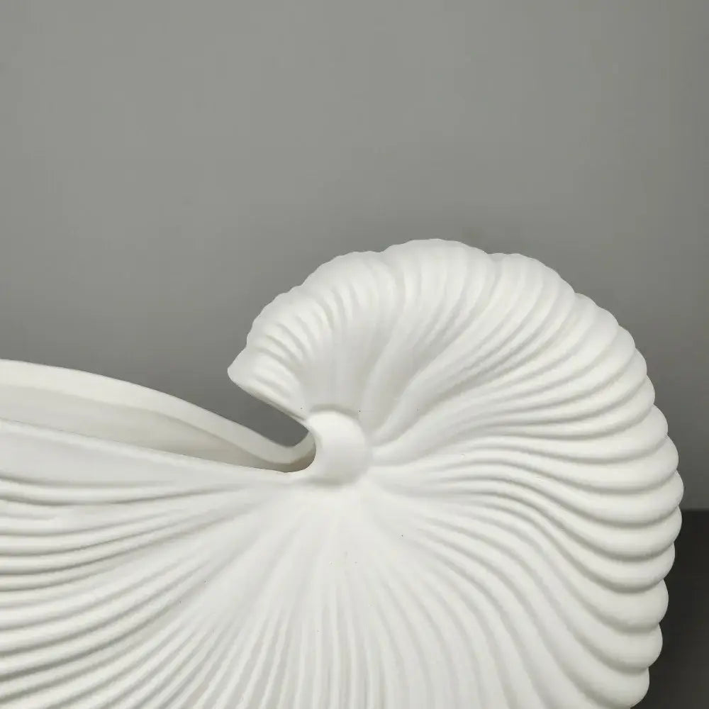 White Ribbed Ceramic Vase Shell Conch Design