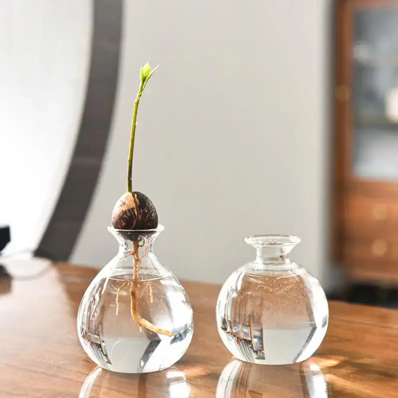 Modern Glass Seed Vase