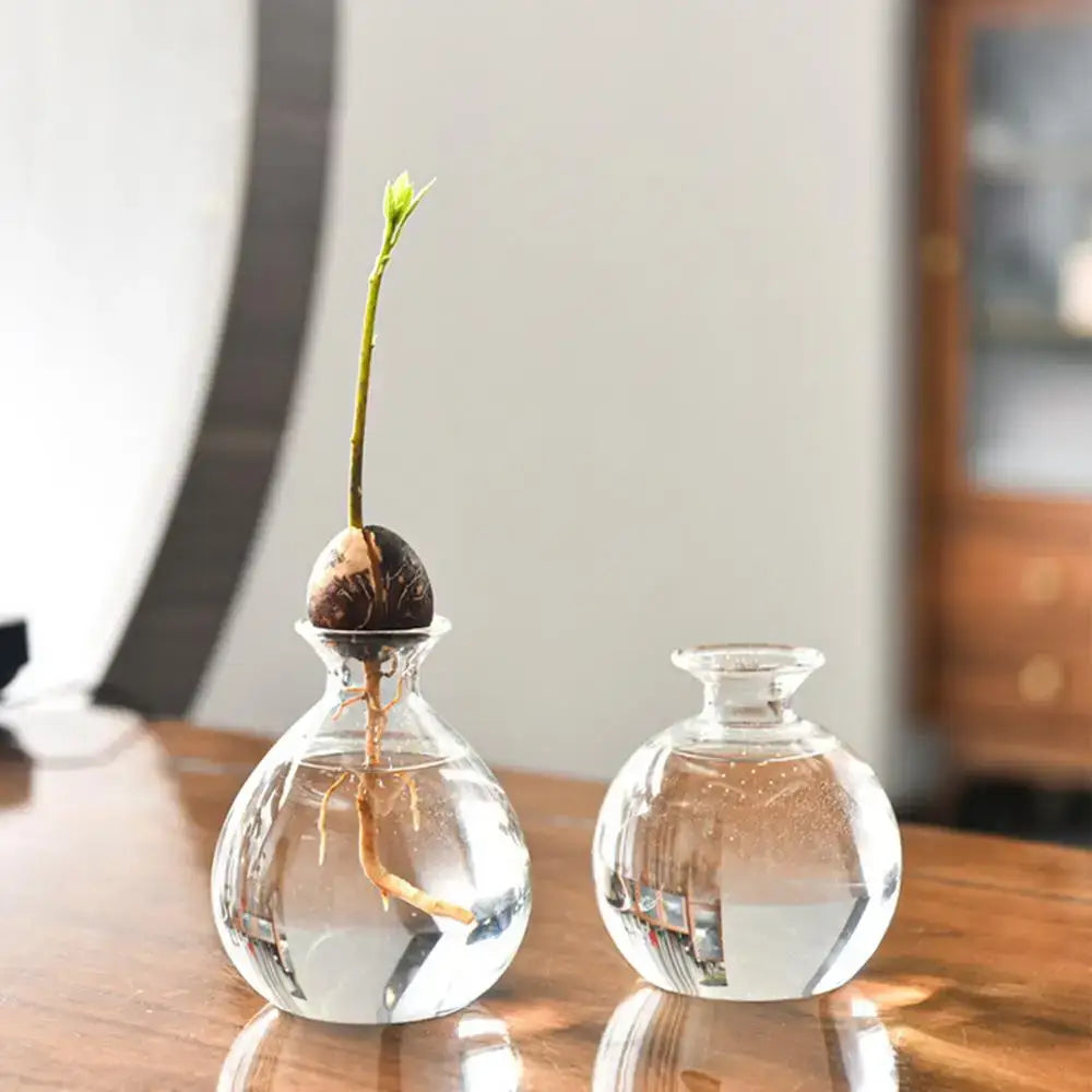 Modern Glass Seed Vase