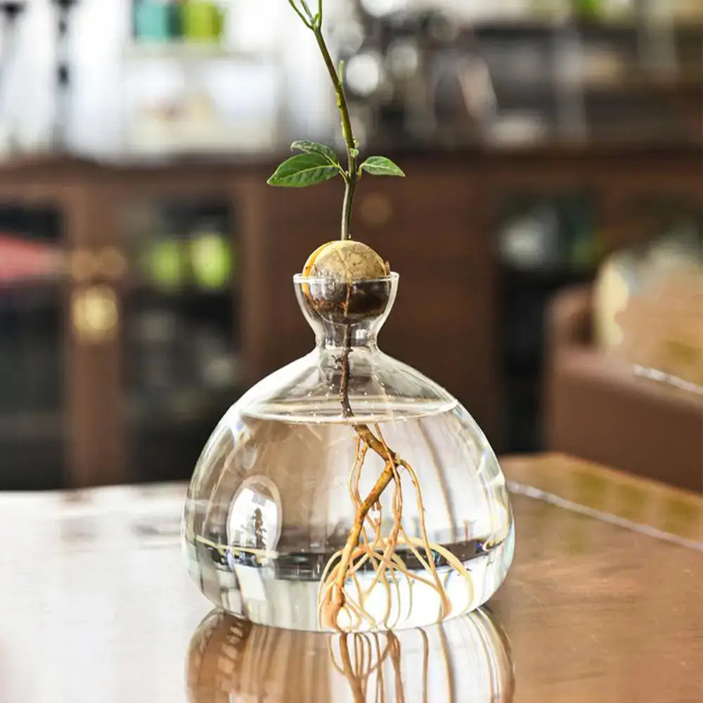 Modern Glass Seed Vase