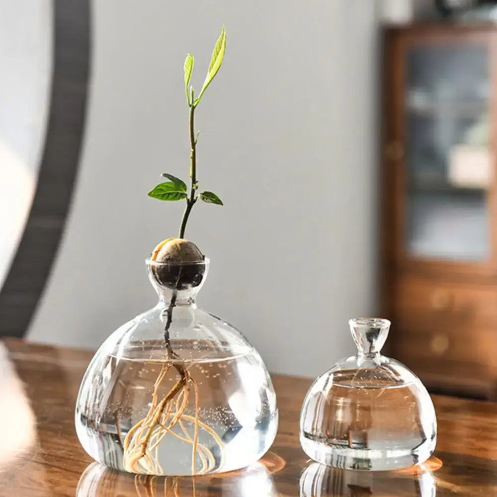 Modern Glass Seed Vase