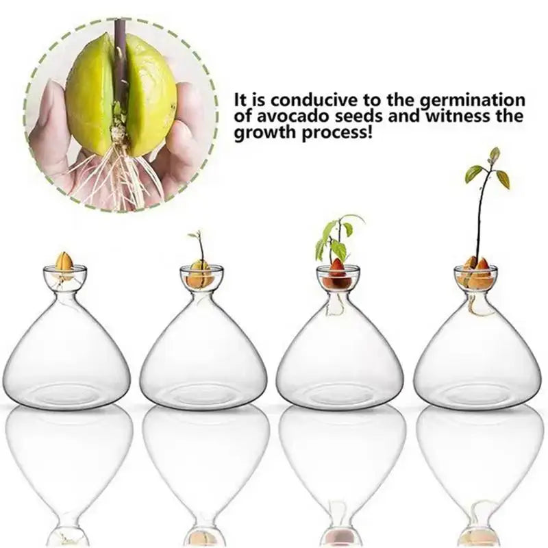 Modern Glass Seed Vase