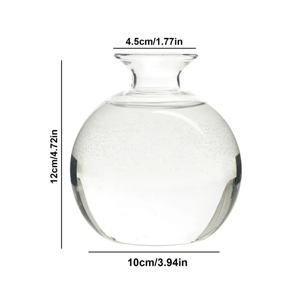 Modern Glass Seed Vase