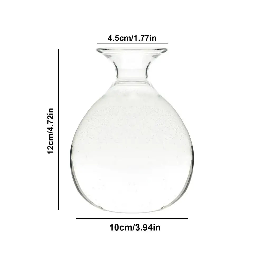 Modern Glass Seed Vase