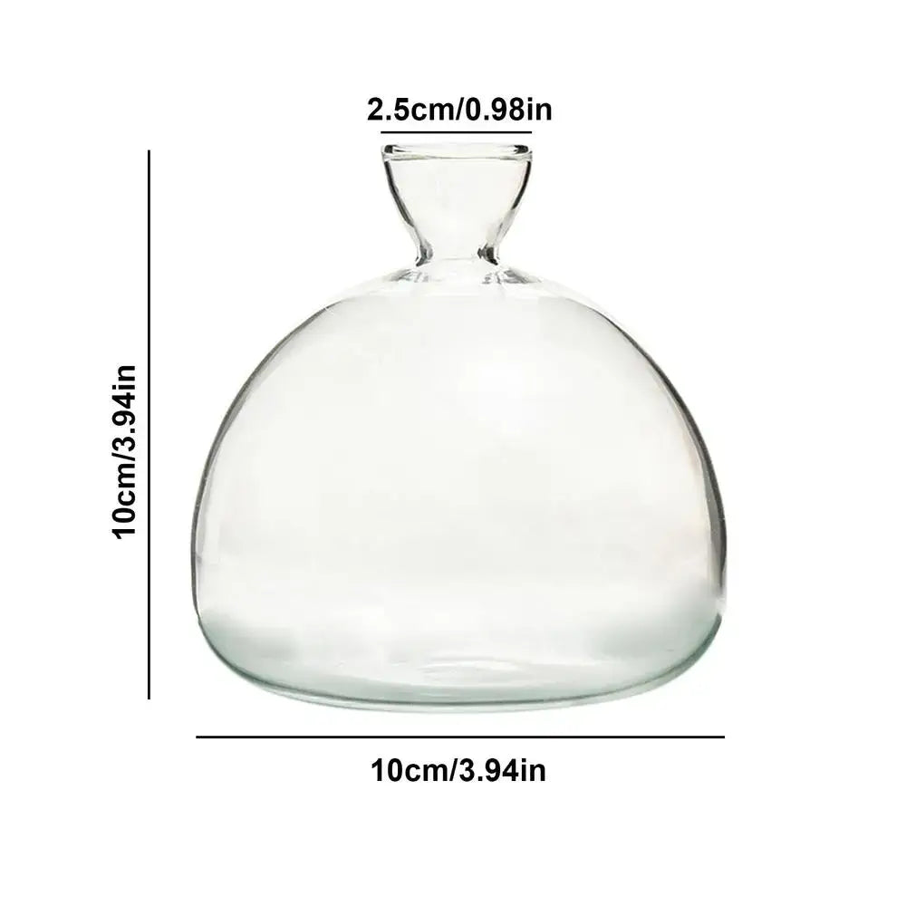 Modern Glass Seed Vase