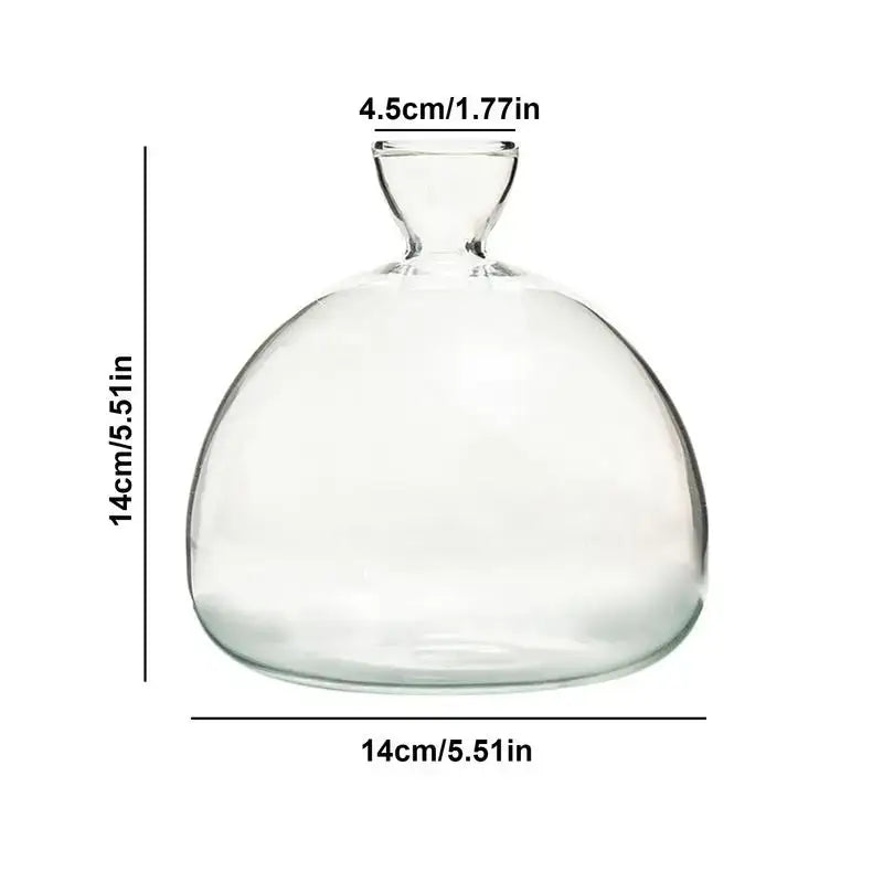Modern Glass Seed Vase
