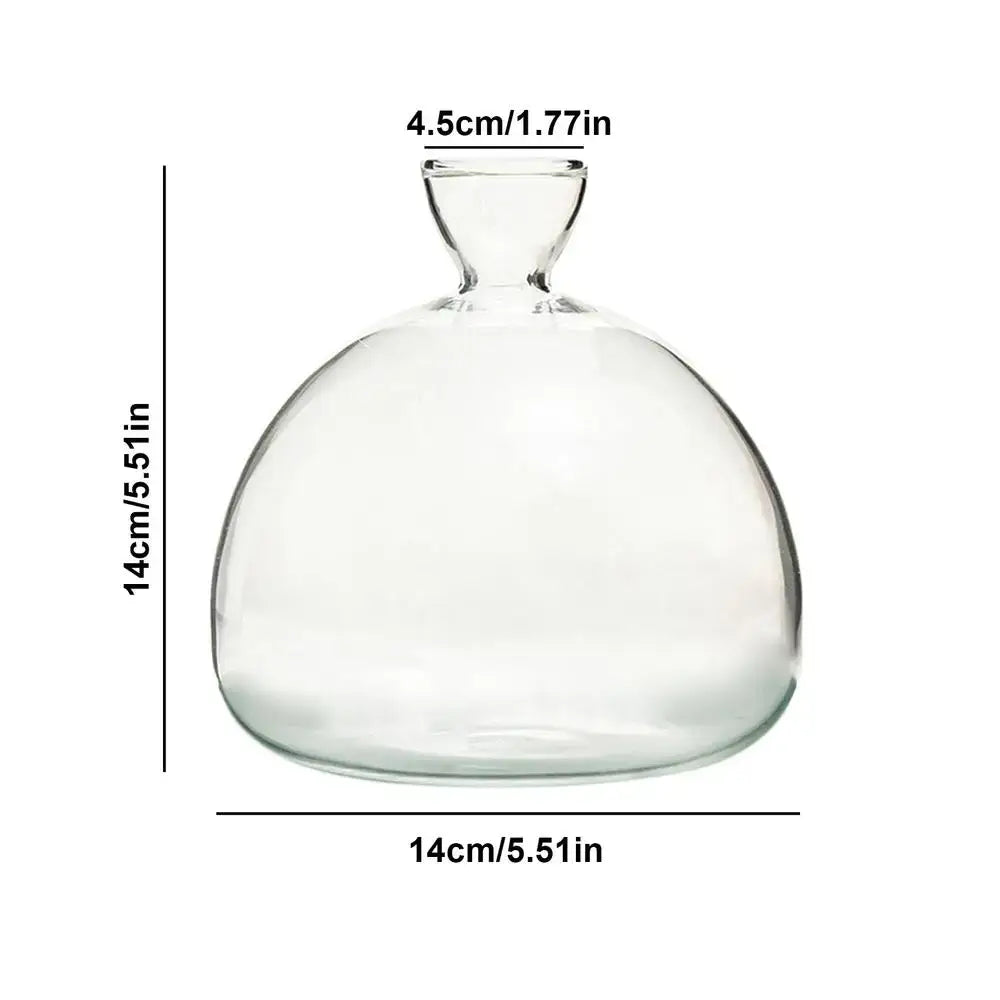 Modern Glass Seed Vase