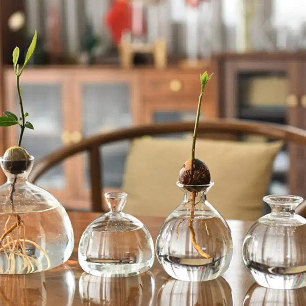 Modern Glass Seed Vase