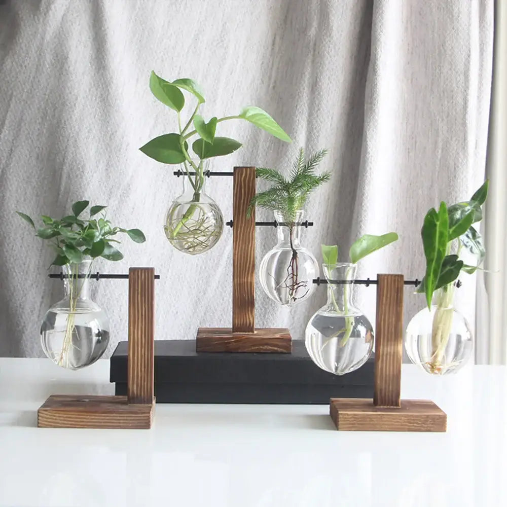 Glass Bulb Vase Set