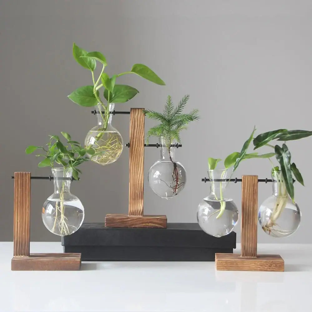 Glass Bulb Vase Set