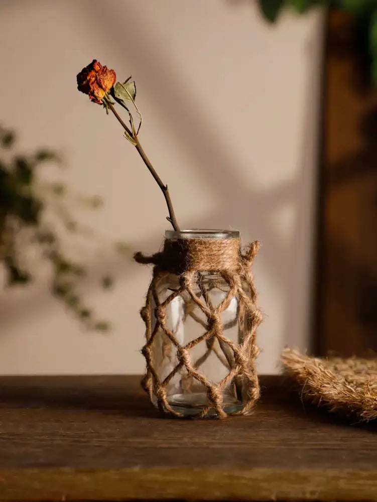 Glass Hemp Hanging Vase