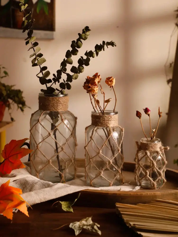 Glass Hemp Hanging Vase