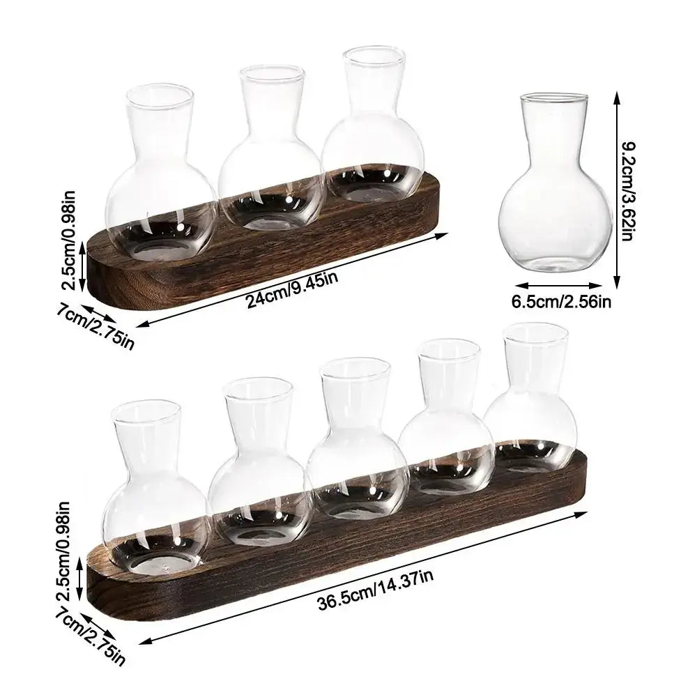 Glass Hydroponic Vase Set