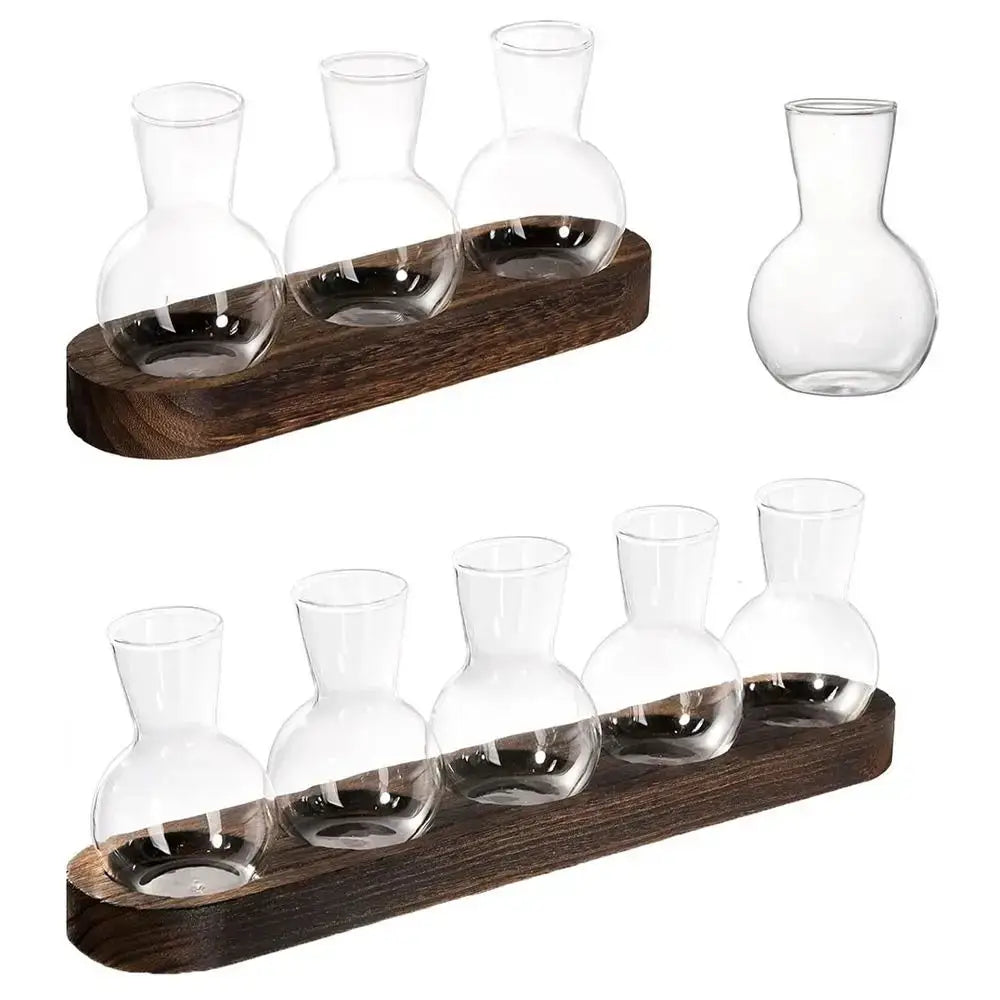 Glass Hydroponic Vase Set