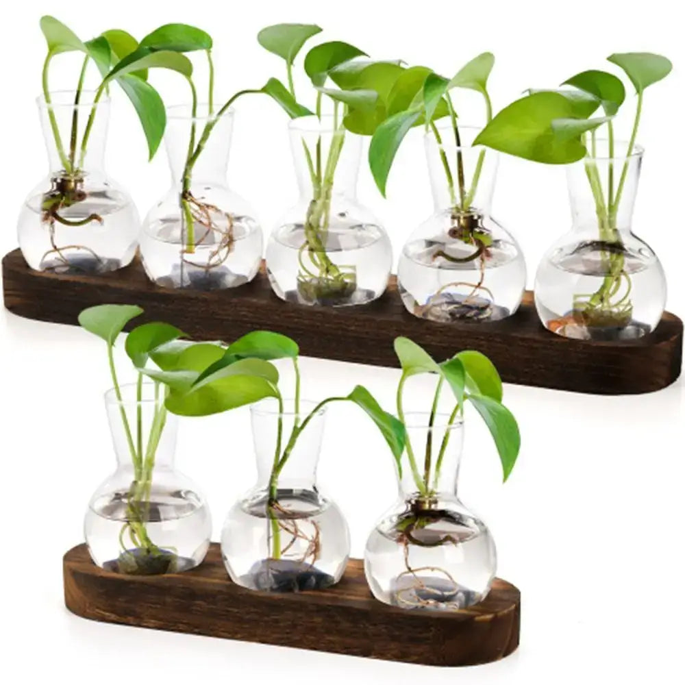 Glass Hydroponic Vase Set