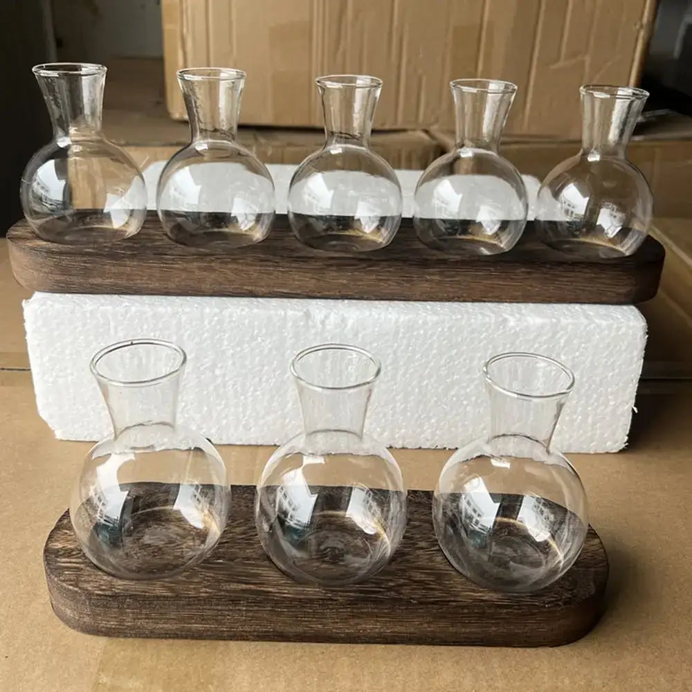 Glass Hydroponic Vase Set