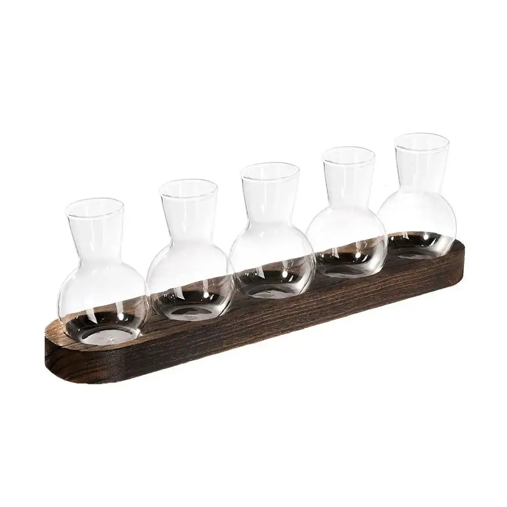 Glass Hydroponic Vase Set