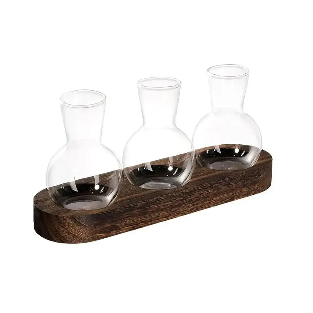 Glass Hydroponic Vase Set