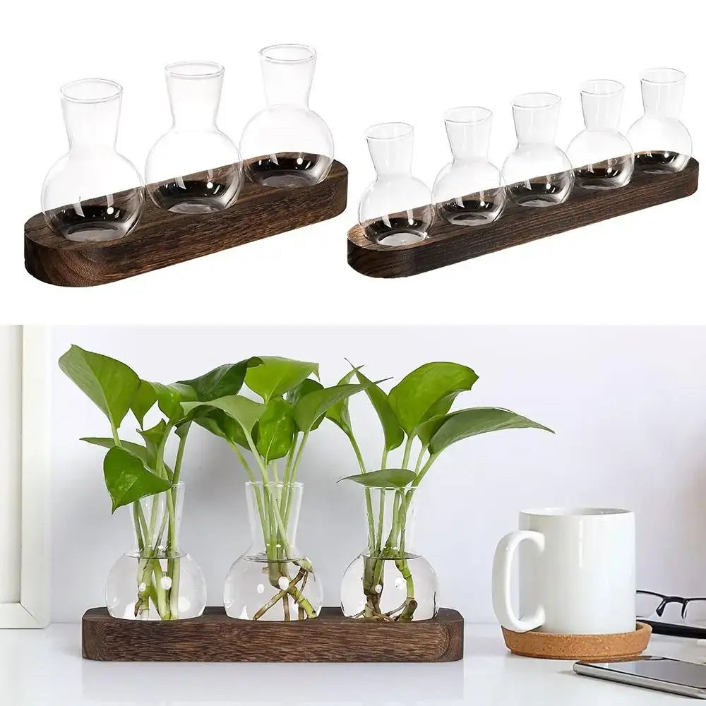 Glass Hydroponic Vase Set