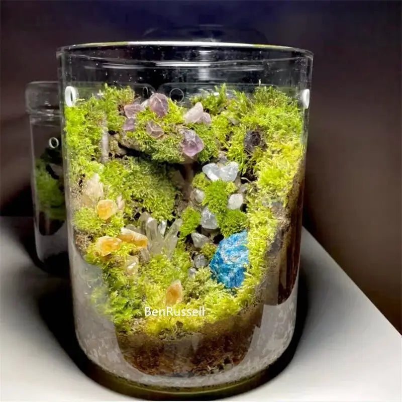 Glass Micro Landscape Vase