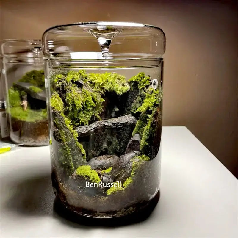 Glass Micro Landscape Vase