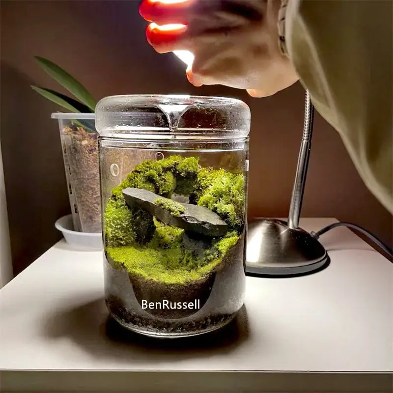 Glass Micro Landscape Vase