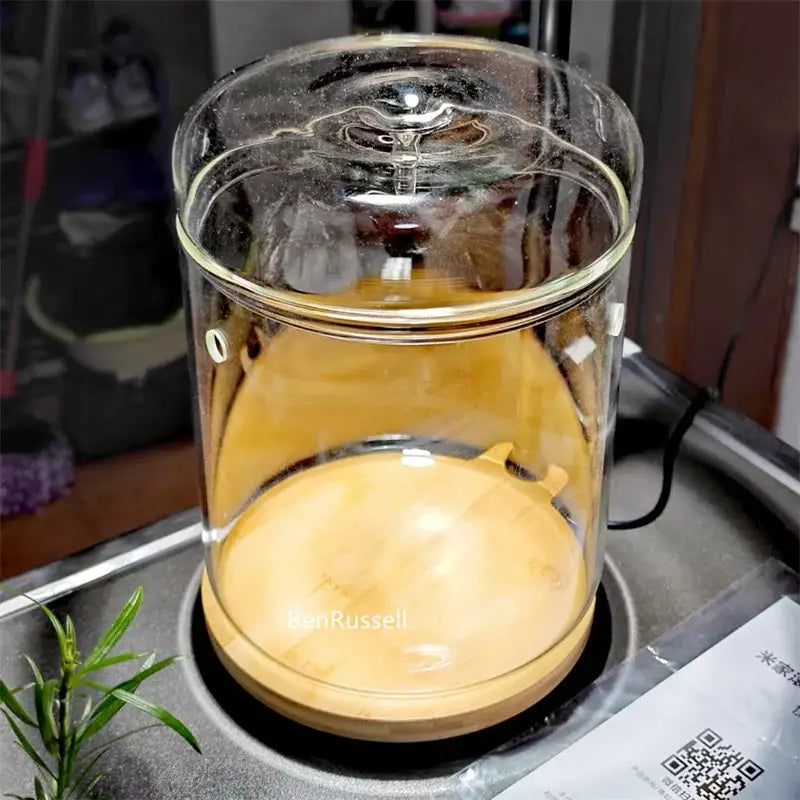 Glass Micro Landscape Vase