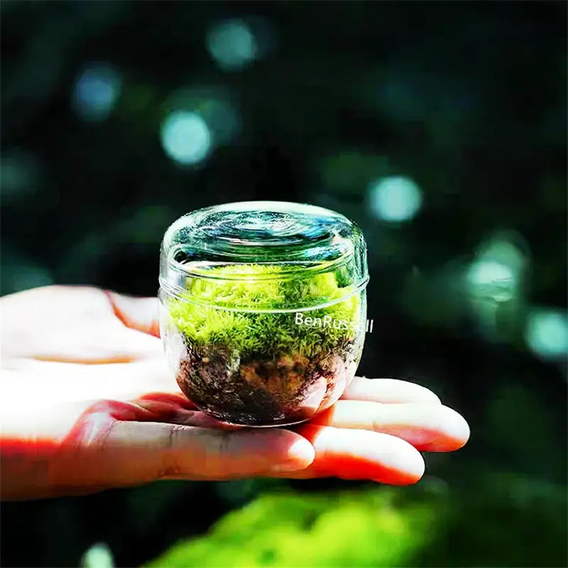 Moss Glass Terrarium Vase