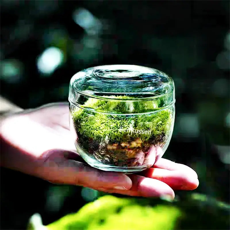 Moss Glass Terrarium Vase