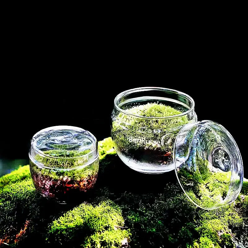 Moss Glass Terrarium Vase
