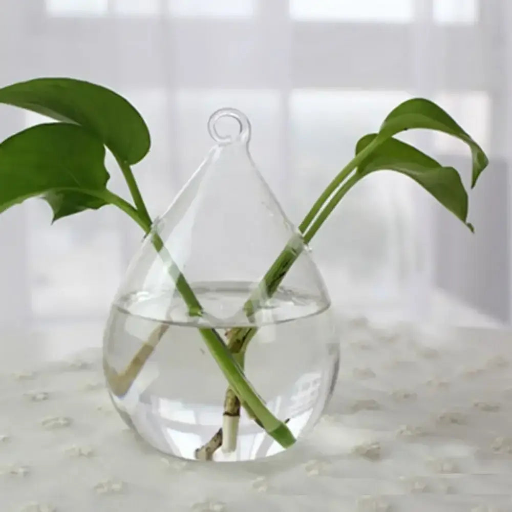 Glass Tapered Vase Terrarium
