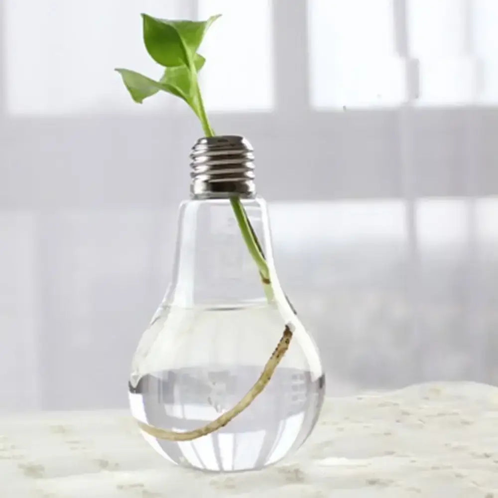 Glass Tapered Vase Terrarium