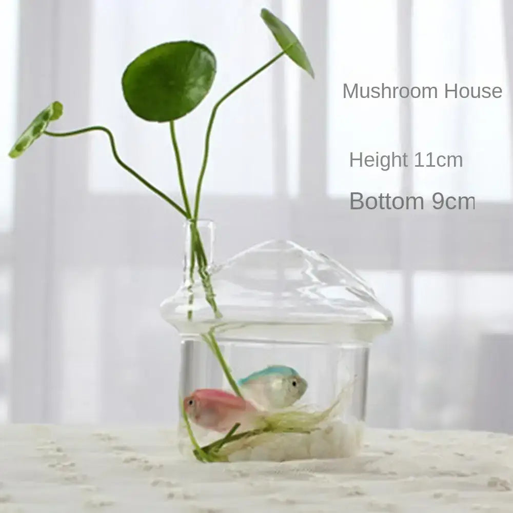 Glass Tapered Vase Terrarium