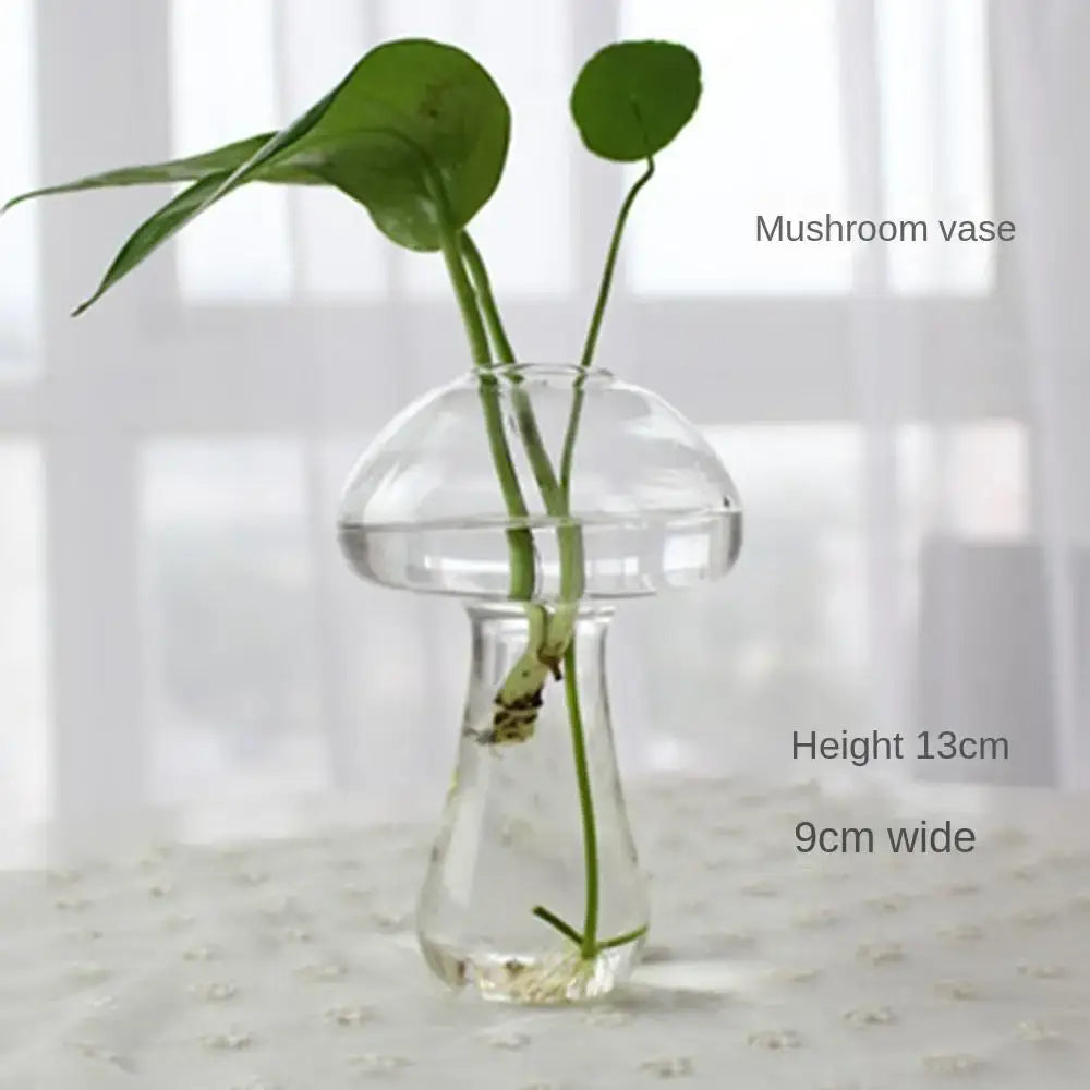 Glass Tapered Vase Terrarium