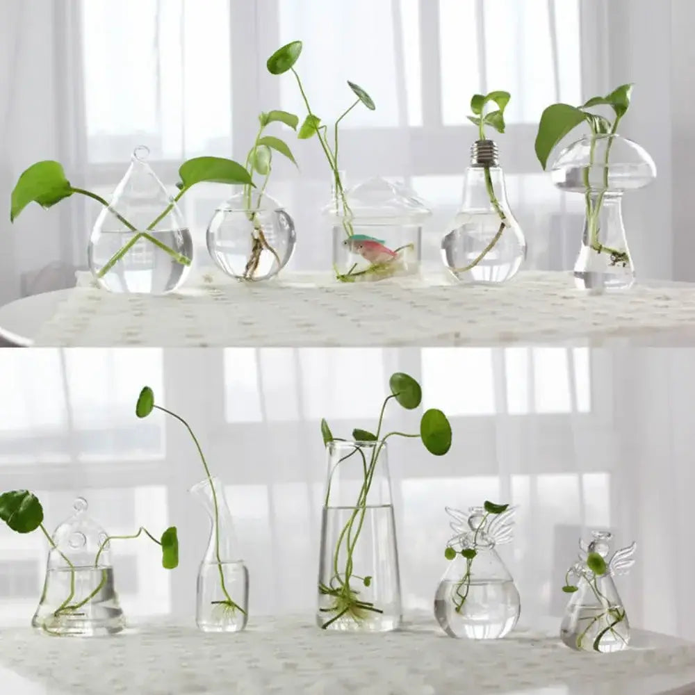 Glass Tapered Vase Terrarium