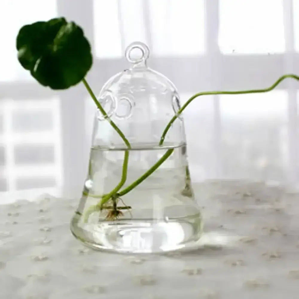 Glass Tapered Vase Terrarium