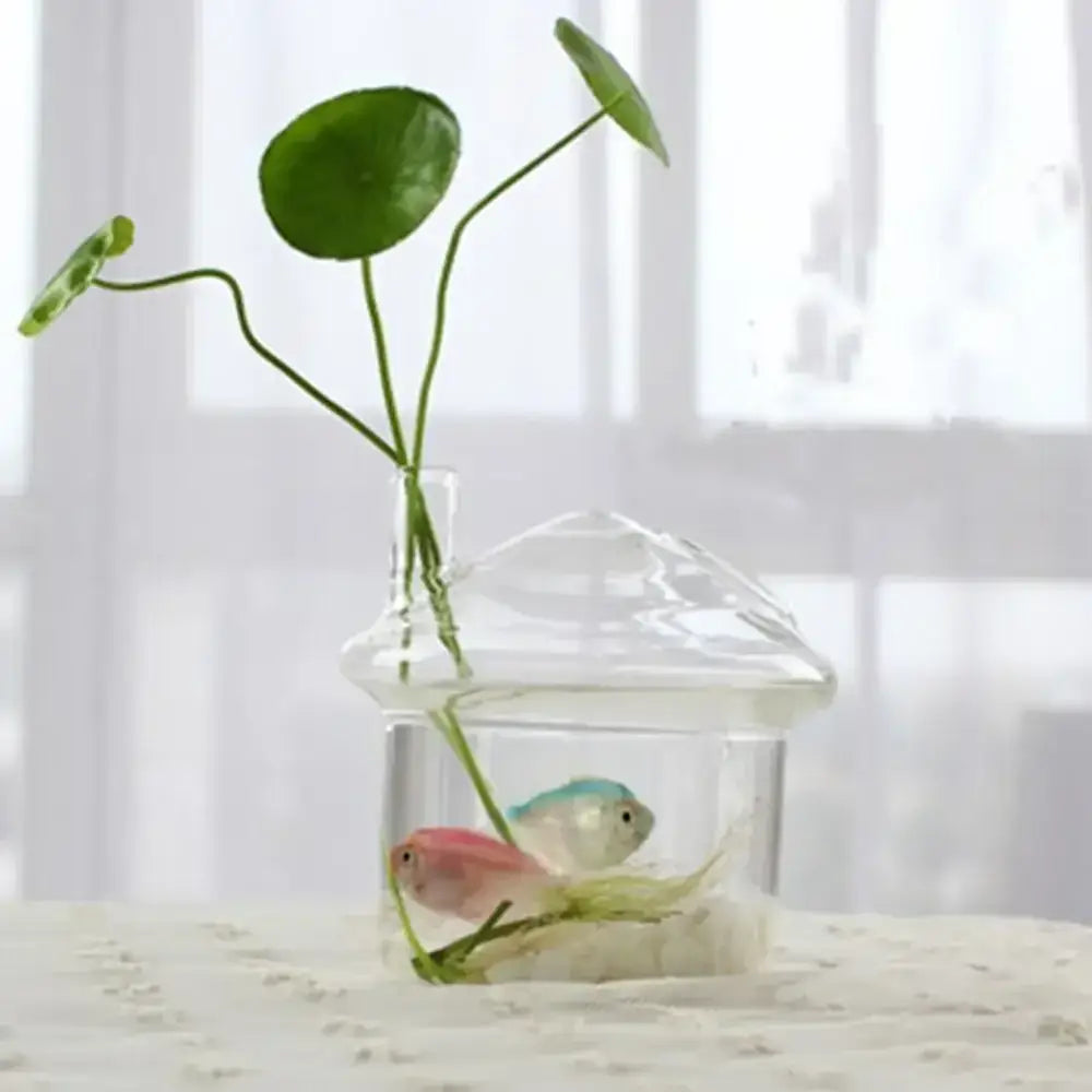 Glass Tapered Vase Terrarium