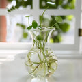 Glass Tapered Vase Terrarium