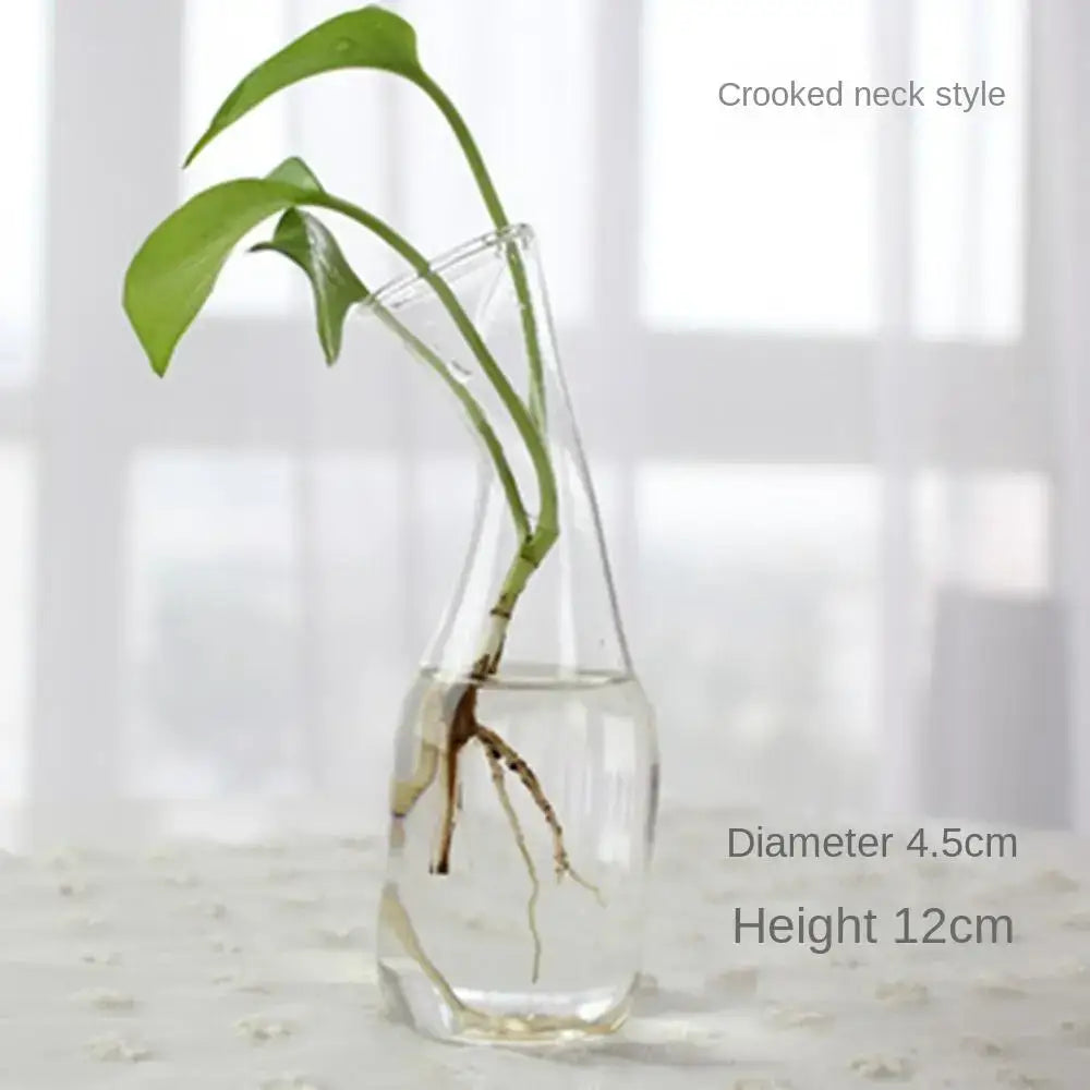 Glass Tapered Vase Terrarium