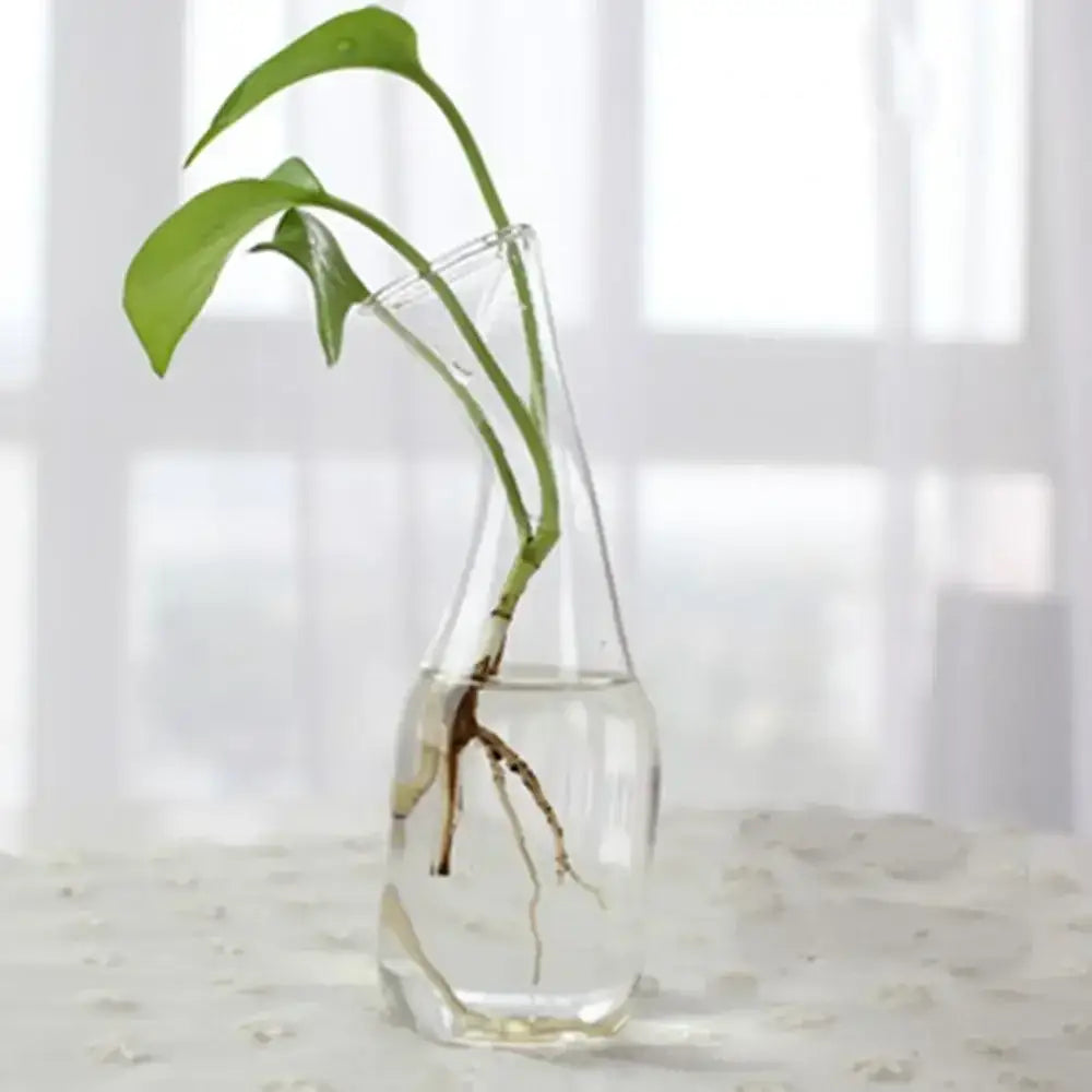 Glass Tapered Vase Terrarium