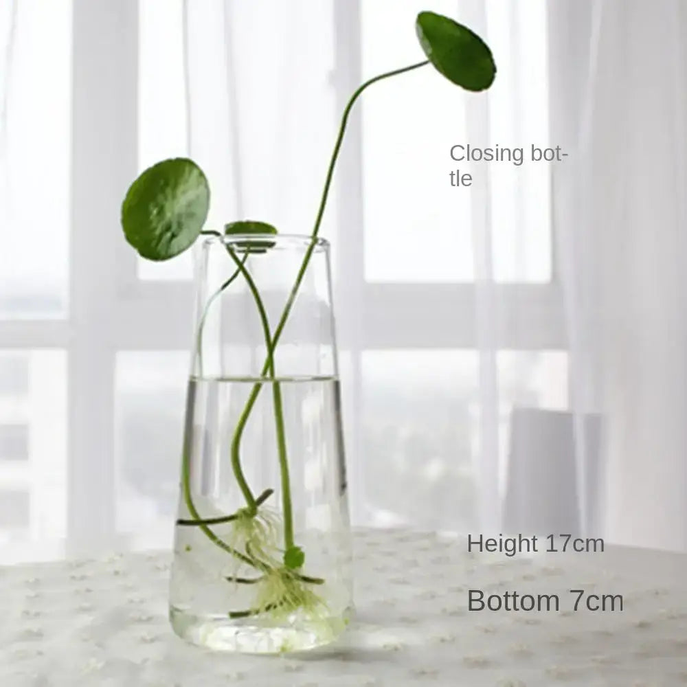 Glass Tapered Vase Terrarium