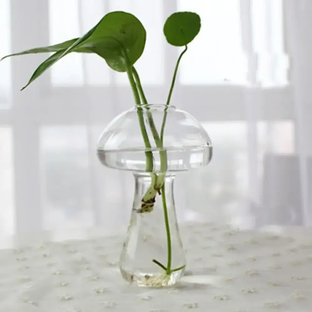 Glass Tapered Vase Terrarium