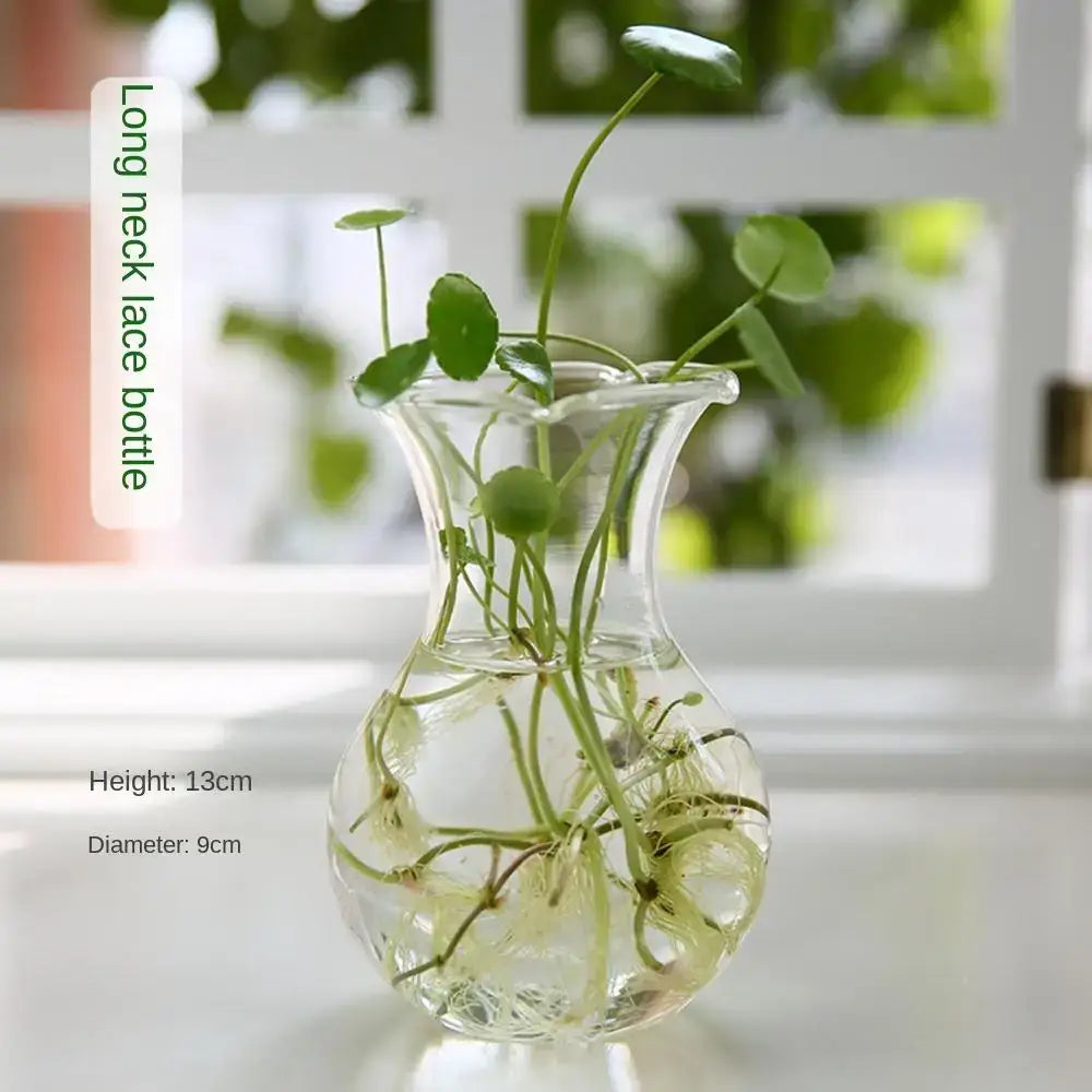 Glass Tapered Vase Terrarium