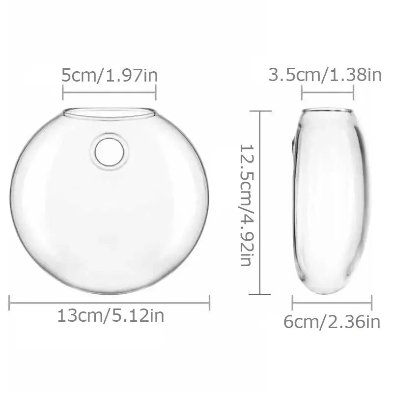 Clear Glass Wall Planter