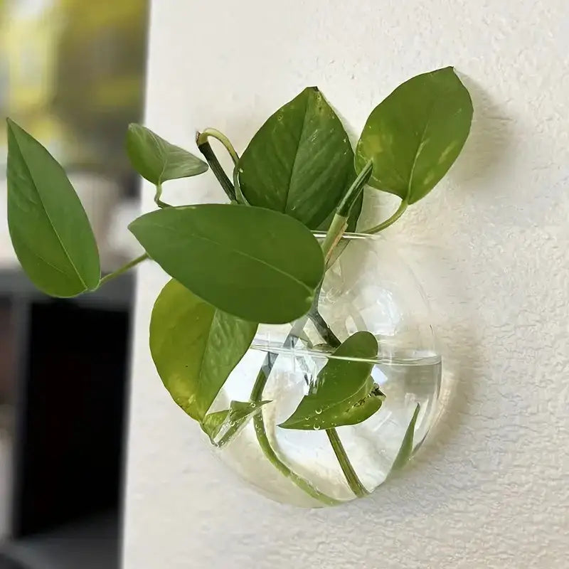 Clear Glass Wall Planter