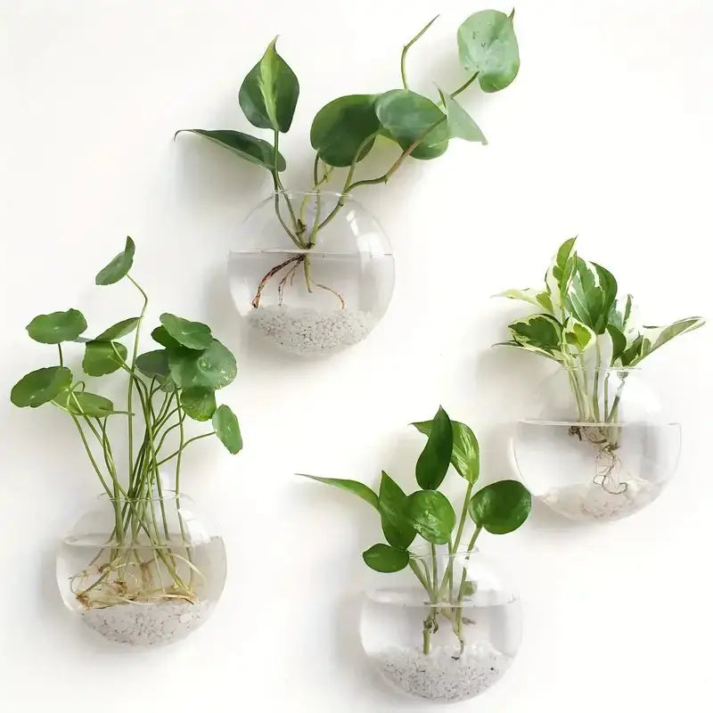 Clear Glass Wall Planter
