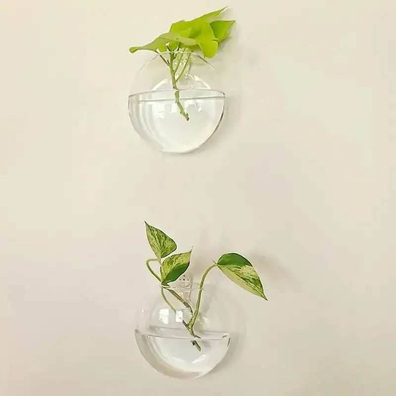 Clear Glass Wall Planter
