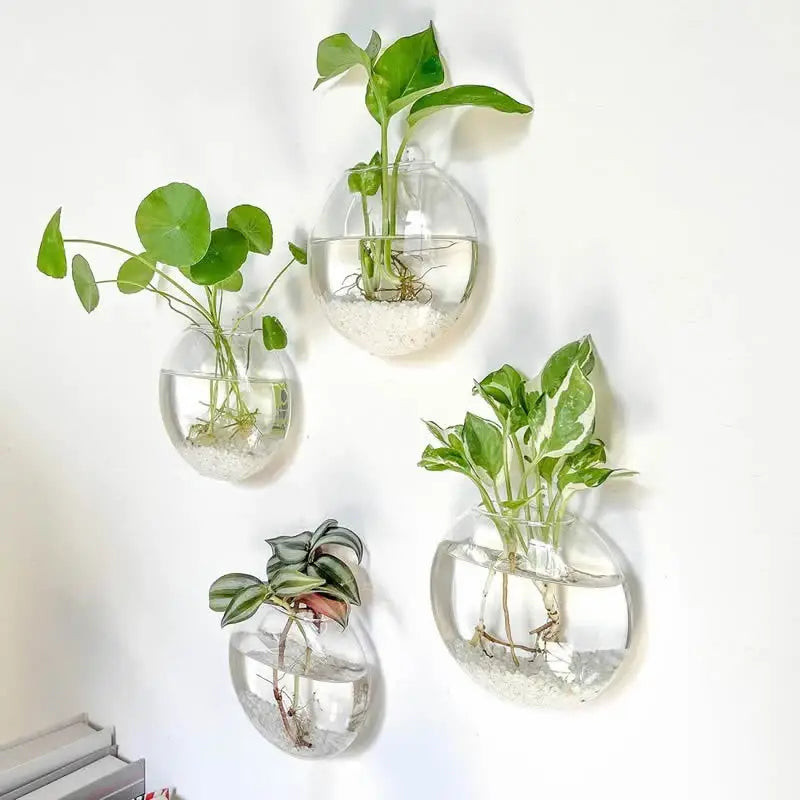 Clear Glass Wall Planter