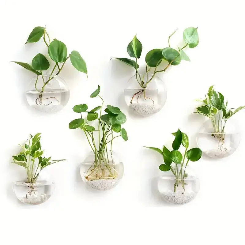 Clear Glass Wall Planter