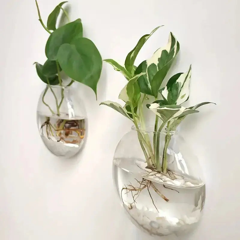 Clear Glass Wall Planter